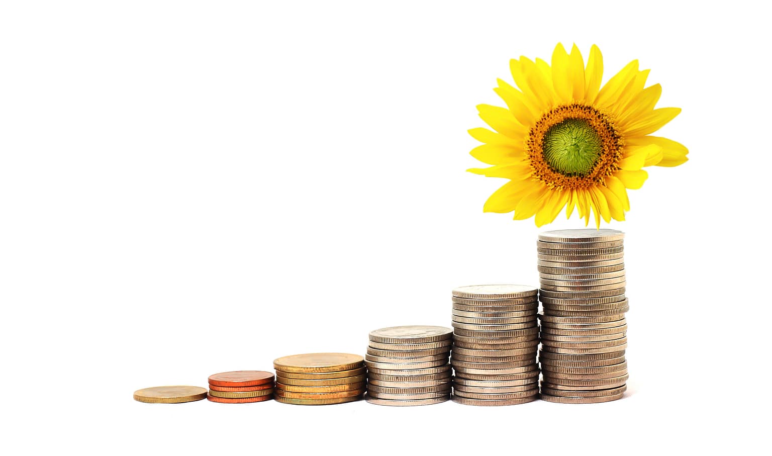 Poupança Remdimento